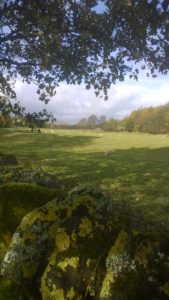 Walking in the Durham Dales