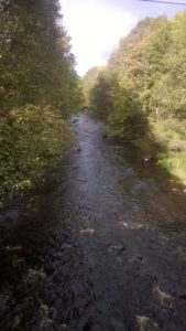 walking in the Durham Dales