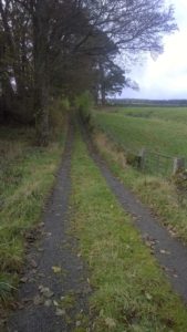 Walking in the Durham Dales