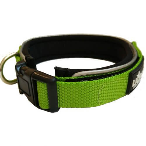 Padded Nylon Collars & Leads Dog on a Lead Set Paws Plus One